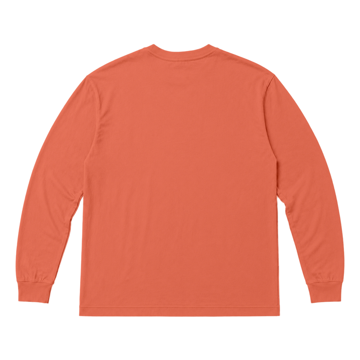 T-shirt TRACE coupe relaxed, coloris terracotta, vue de dos