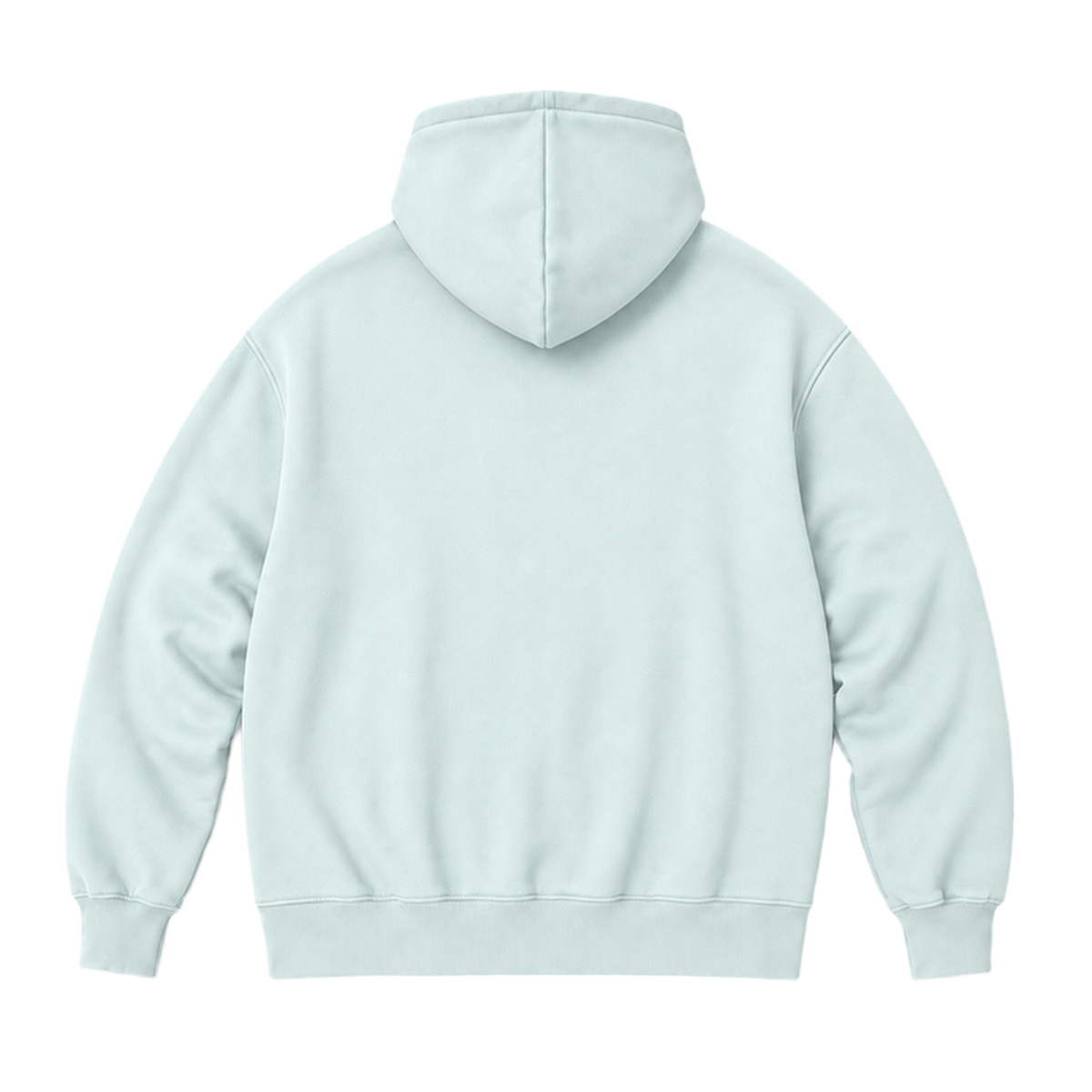 Hoodie FRAME coupe oversized, coloris menthe, vue de dos