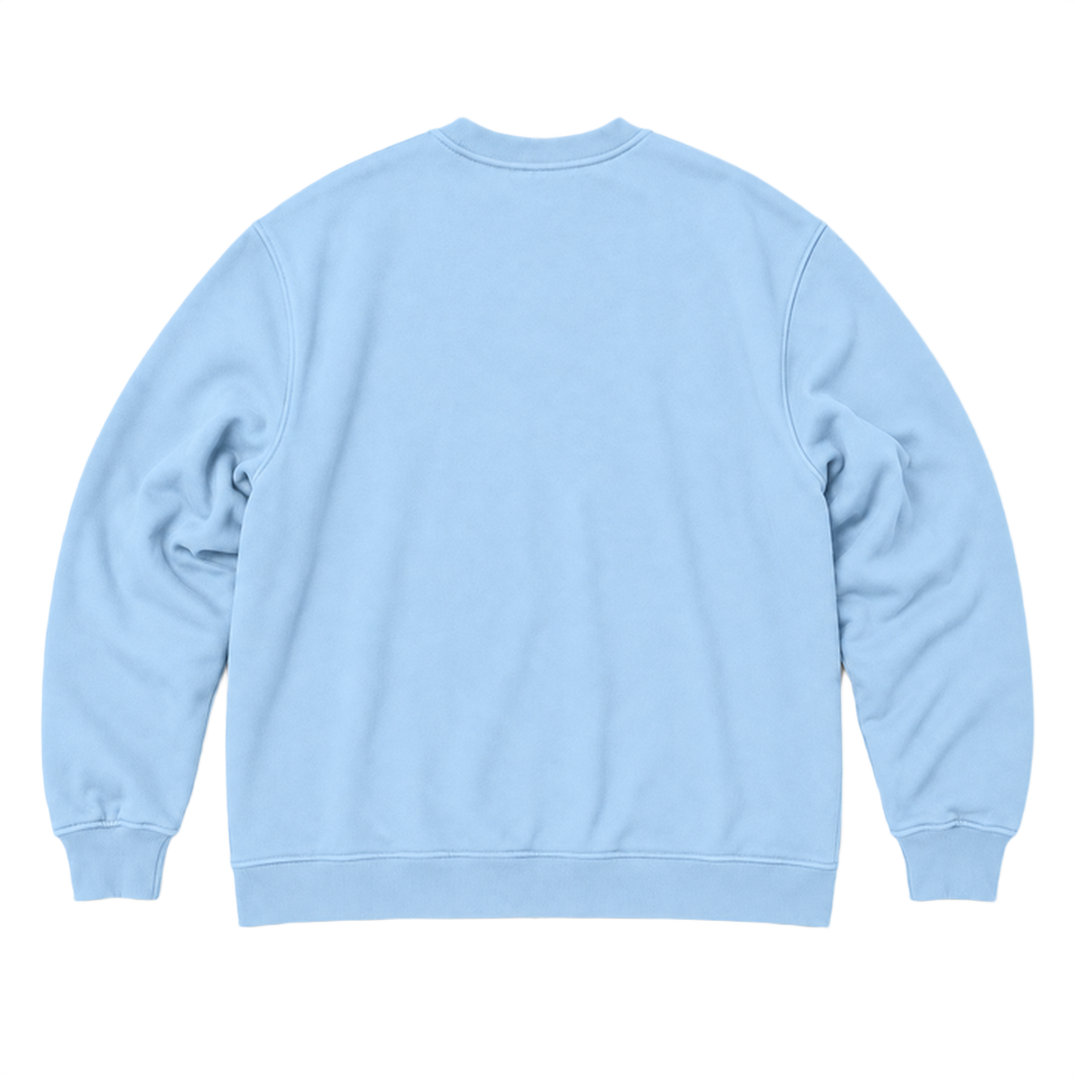 Sweat SCALE coupe oversized, coloris bleu clair, vue de dos