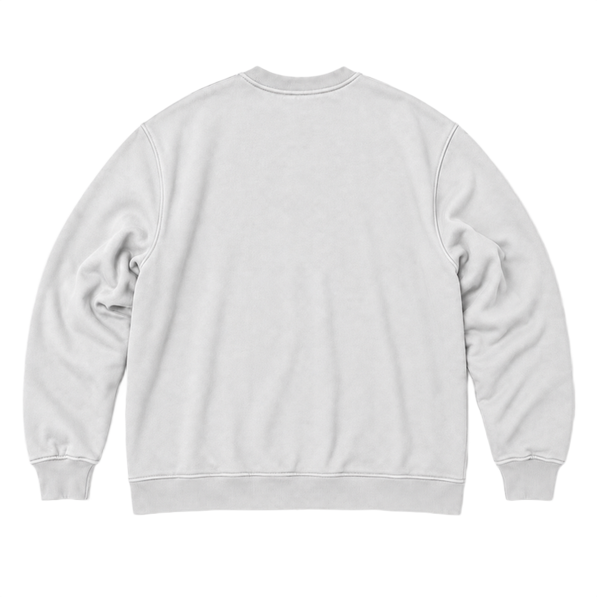 Sweat SCALE coupe oversized, coloris gris froid, vue de dos