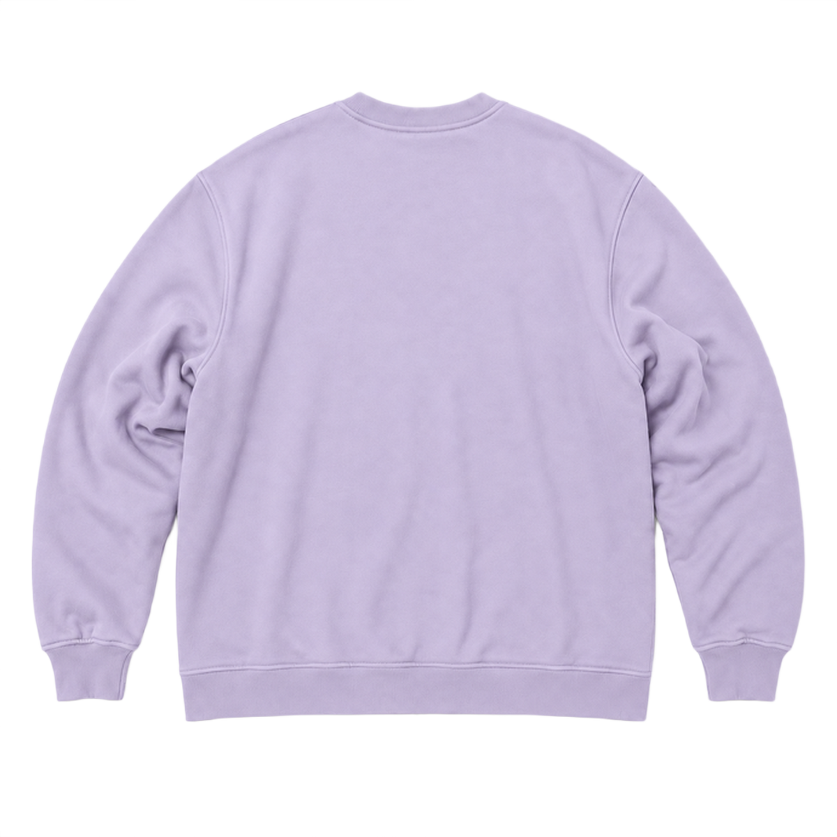 Sweat SCALE coupe oversized, coloris lavande, vue de dos