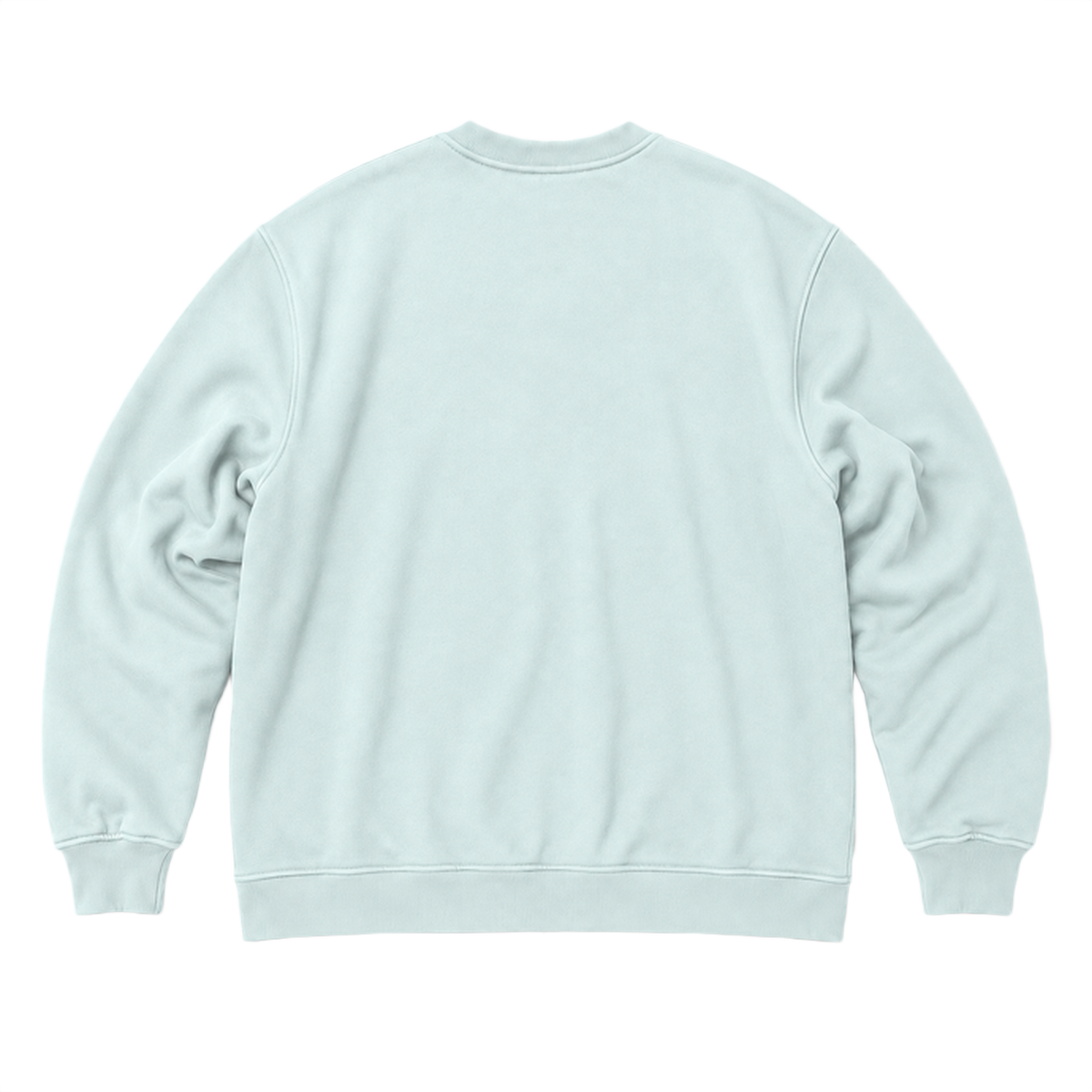 Sweat SCALE coupe oversized, coloris menthe, vue de dos