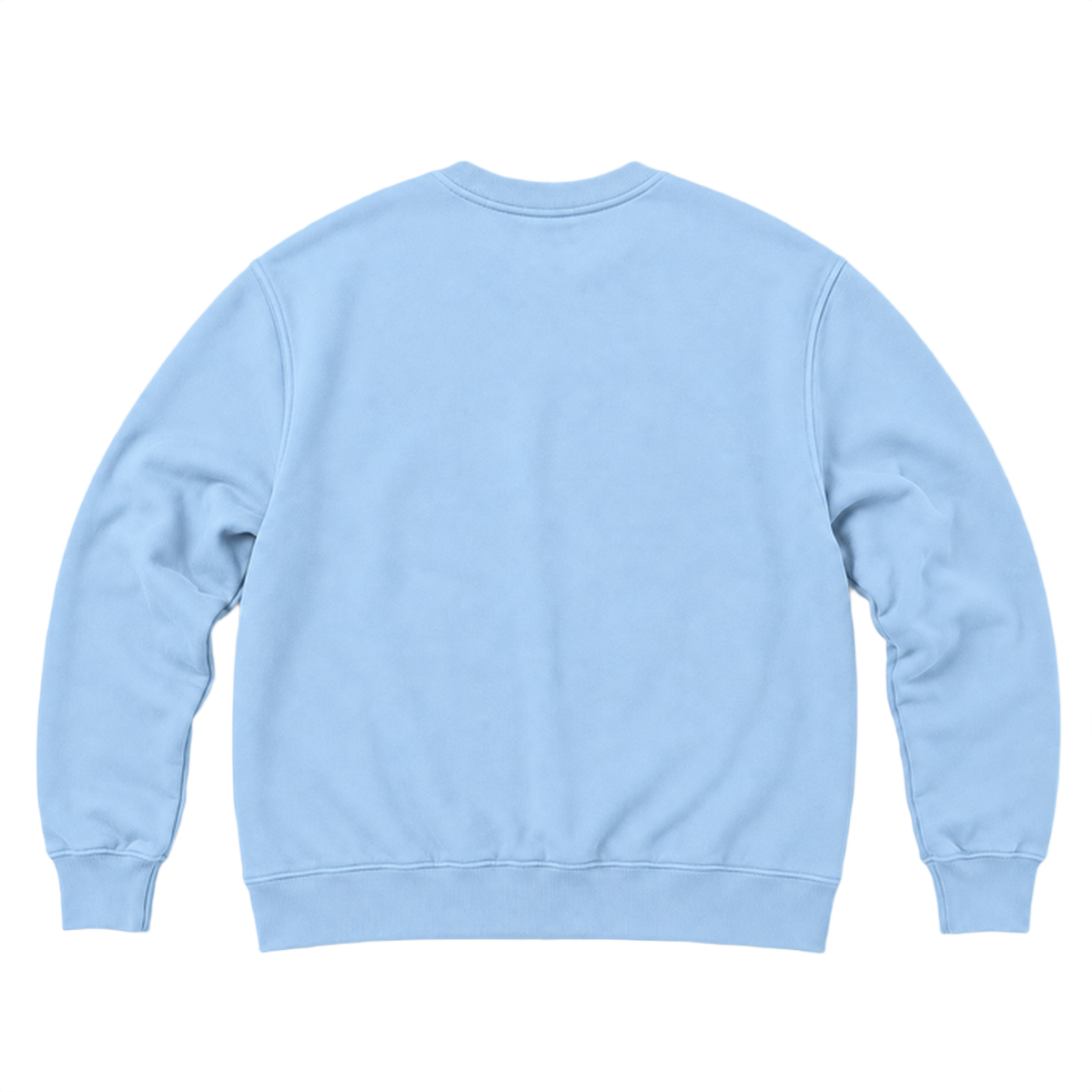Sweat ROVE coupe relaxed, coloris bleu clair, vue de dos