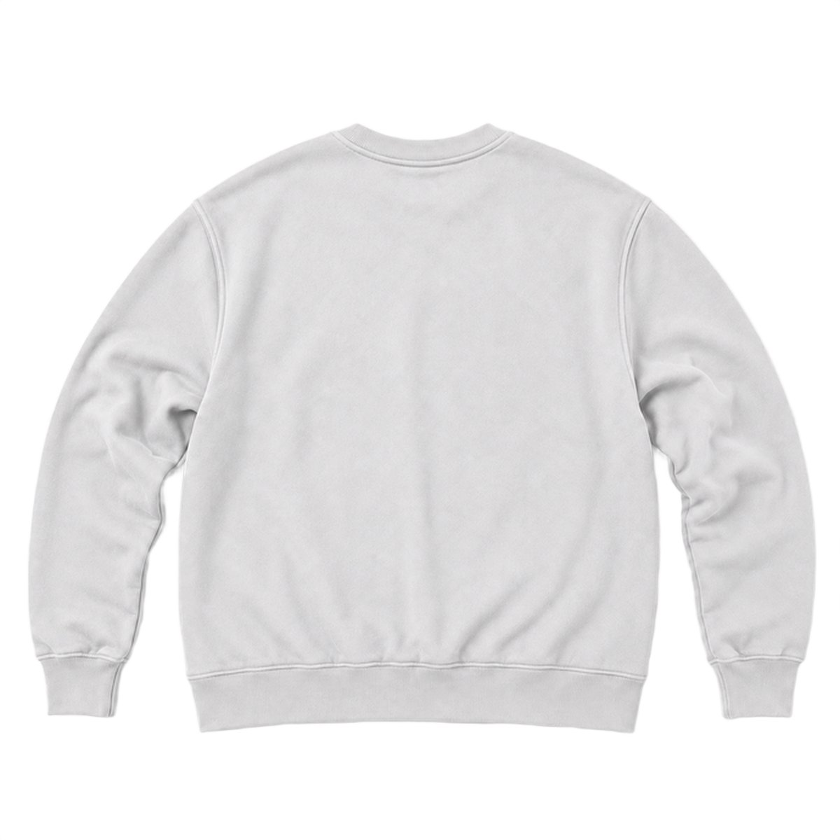 Sweat ROVE coupe relaxed, coloris gris froid, vue de dos