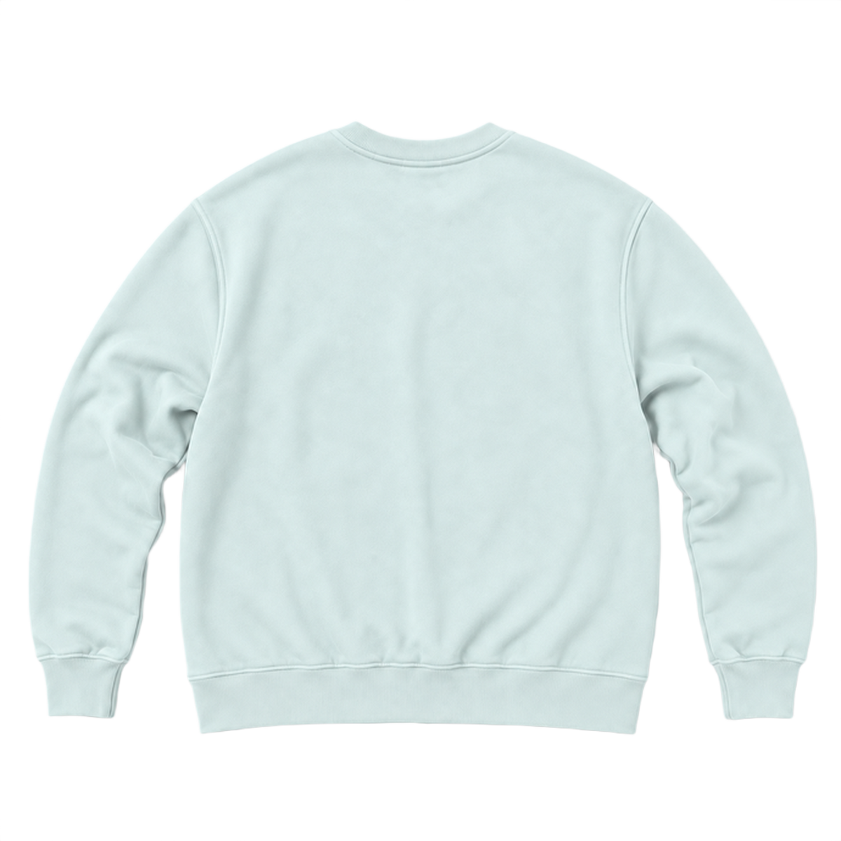 Sweat ROVE coupe relaxed, coloris menthe, vue de dos