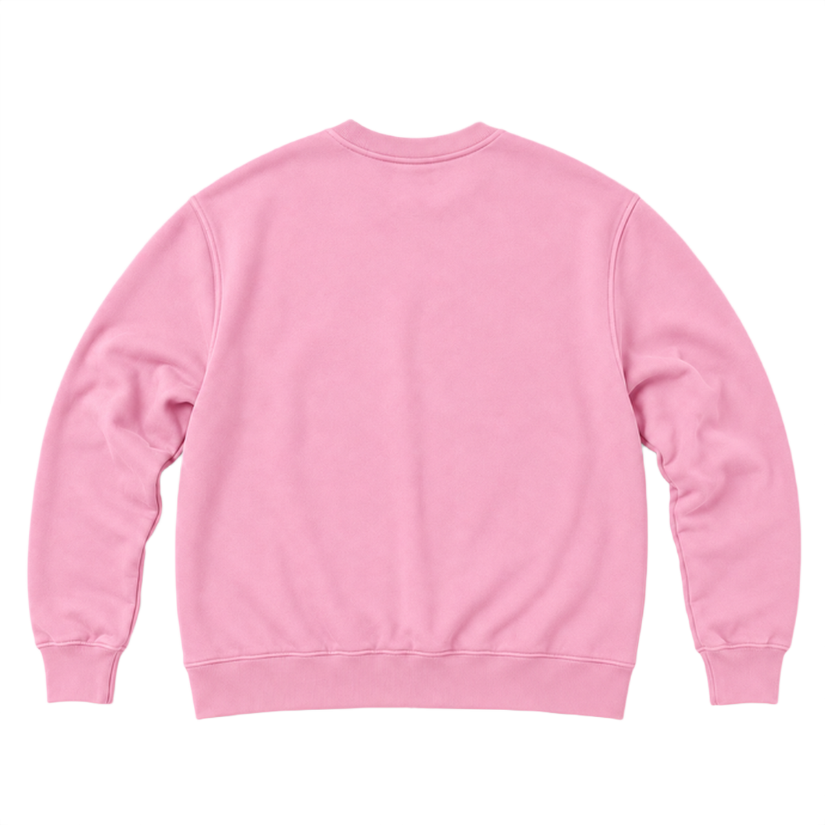 Sweat ROVE coupe relaxed, coloris rose clair, vue de dos