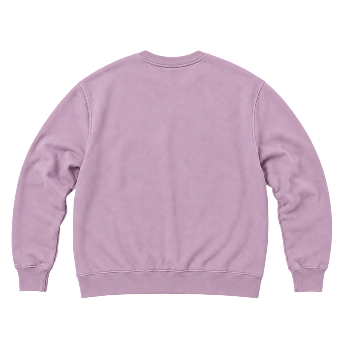Sweat ROVE coupe relaxed, coloris rose poudre, vue de dos