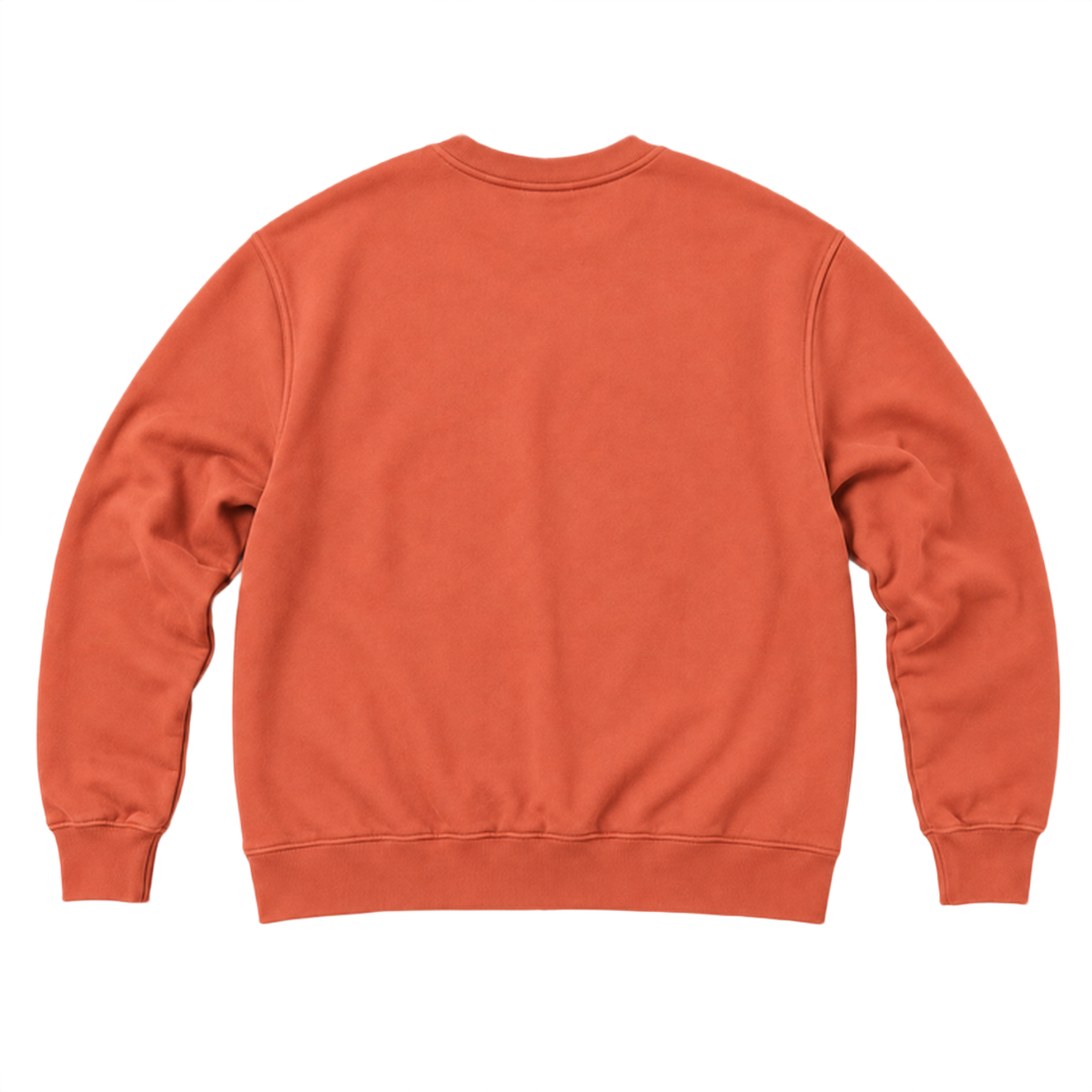 Sweat ROVE coupe relaxed, coloris terracotta, vue de dos